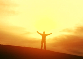 stock footage freedom nature summer man worship pose faith silhouette sun
