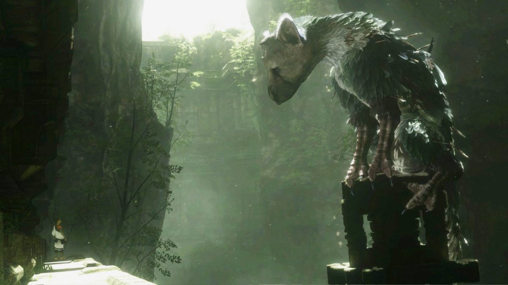 trico ft