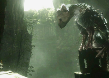 trico ft