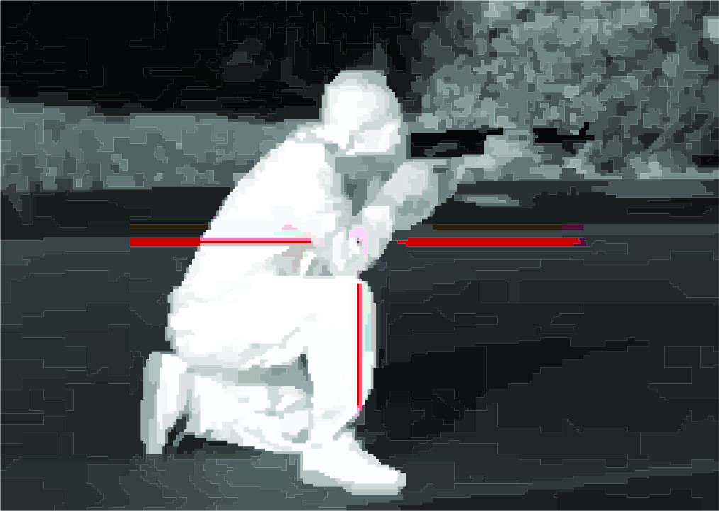 FLIR Sight2