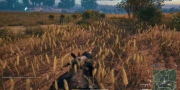 maxresdefault 17 e1516883837185