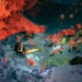 Deep Rock Galactic Release Date Trailer.mp4.mp4 snapshot 00.51 2018.02.15 12.45.24