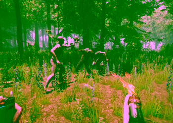 The Forest Header