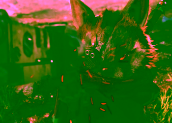 new game biomutant is basically rocket raccoon adventuring in a beautiful open world