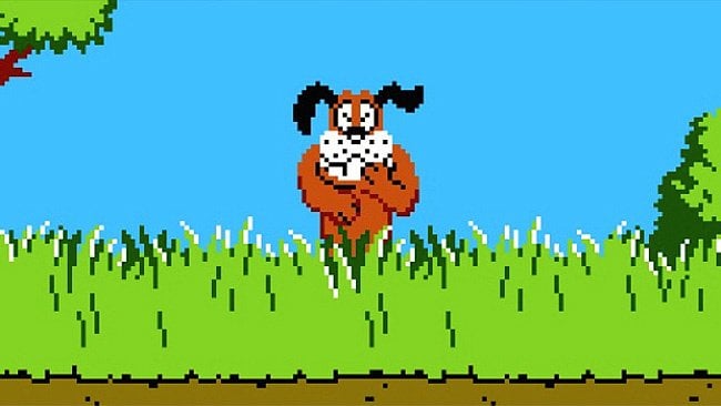 duckhunt