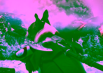 Dog of War