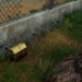 PlayerUnknowns Battlegrounds golden chest secret