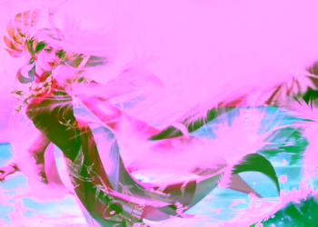 Screenshot 2019 01 15 14 55 10 e1547613469799