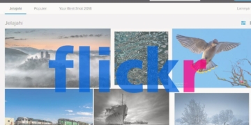 flickr e1549512627852