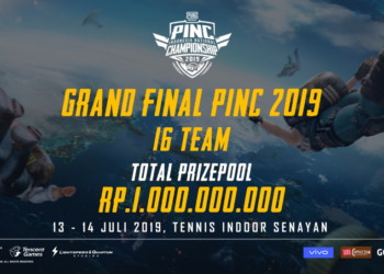 PINC 2019