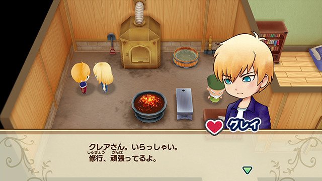 Story of Seasons Friends of Mineral Town screenshot Gray