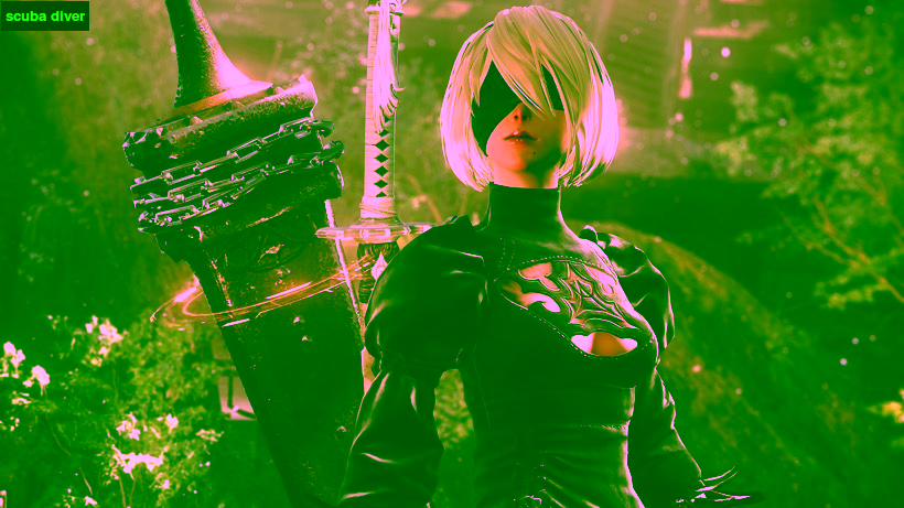 2b suba diver