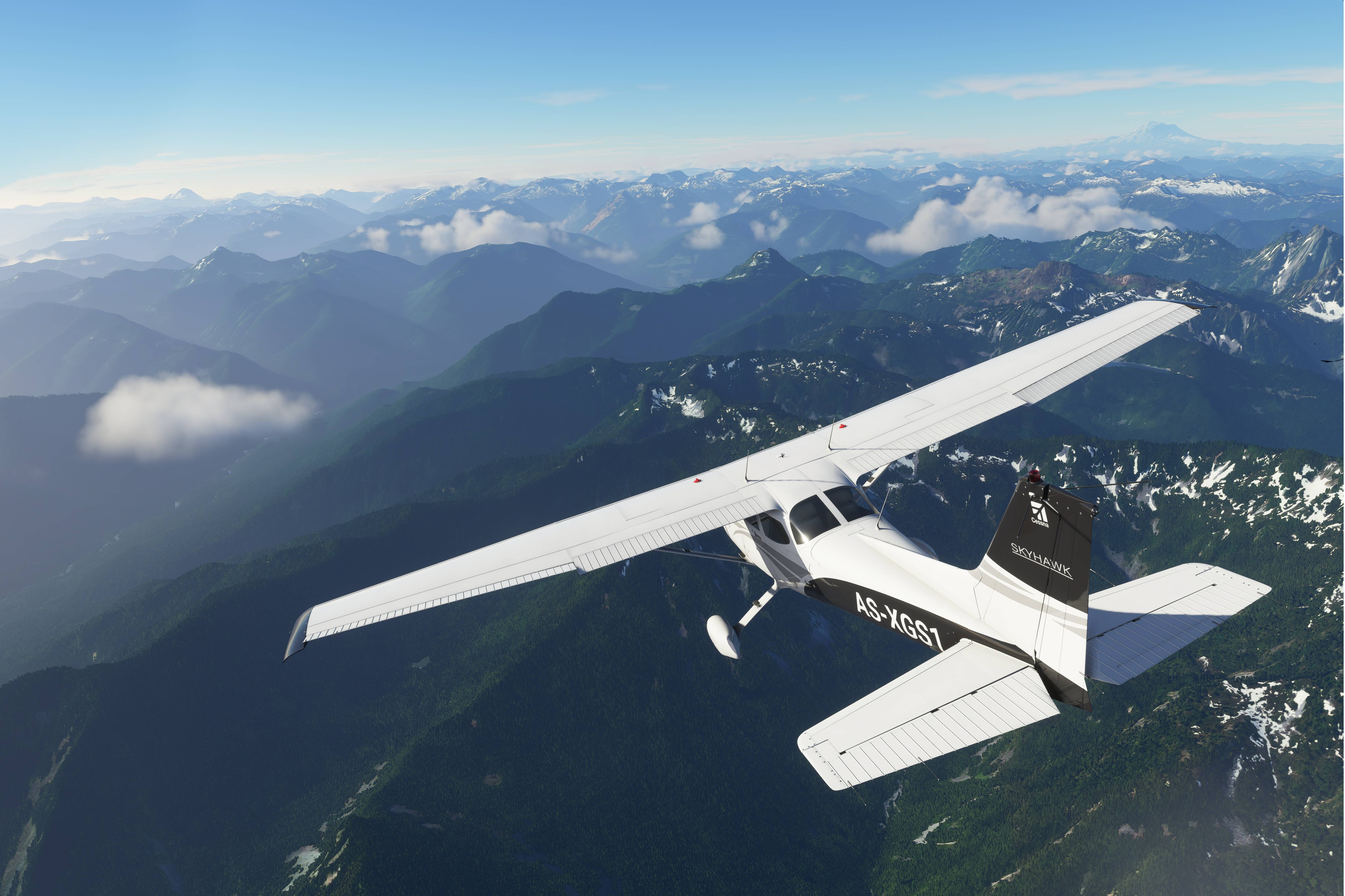 flight simulator1