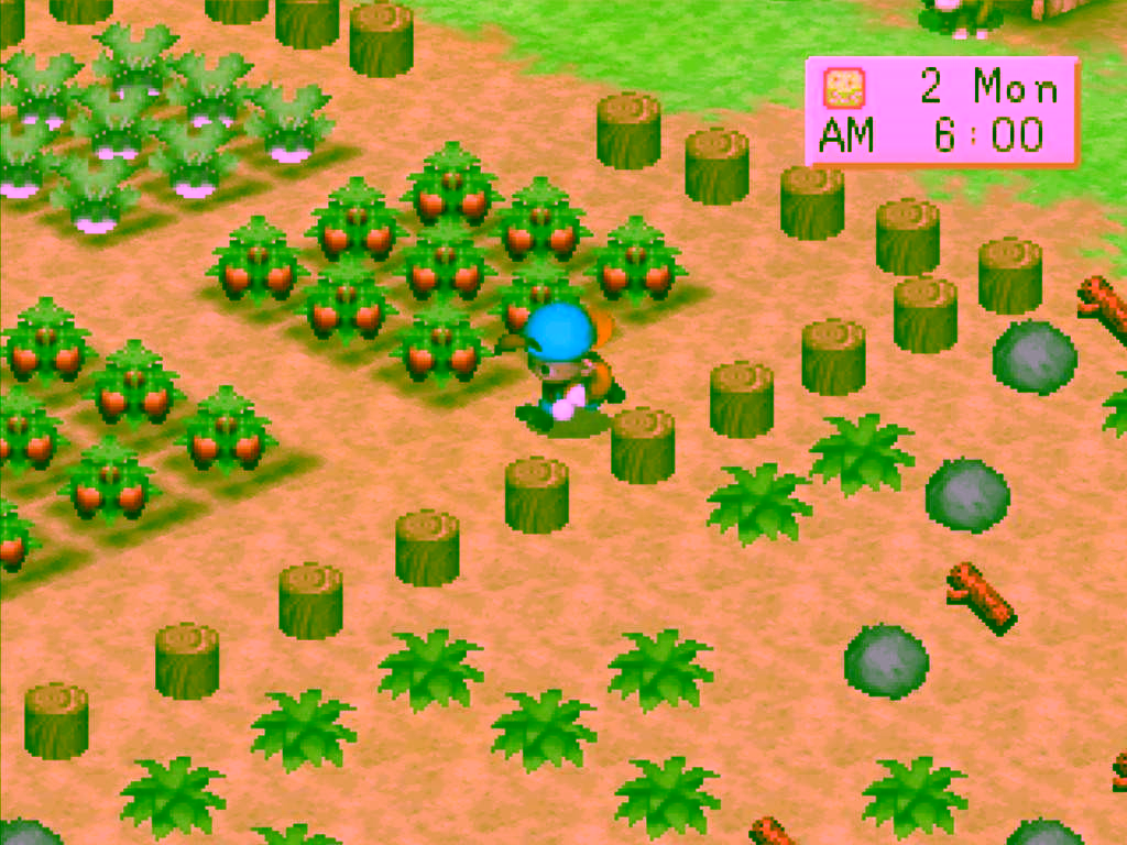 harvest moon farm