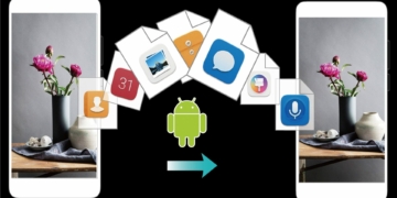 phone to phone transfer e1570225241996