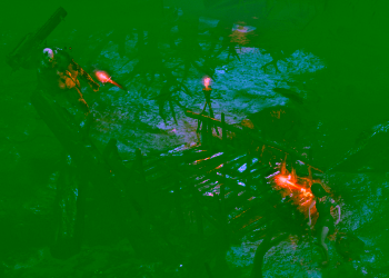 Path of Exile 2 Bridge Toll