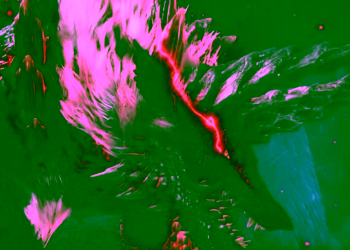 Screenshot 61