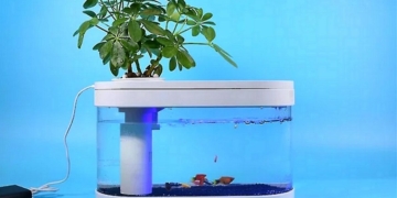 fishtankbyxiaomi e1573629324480