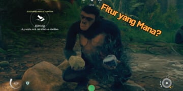 Screen Shot 2019 08 27 at 12.23.16 PM