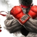 STREET FIGHTER V action fighting warrior battle five arena martial arts 1sfv fantasy playstation sony poster 1920x1080