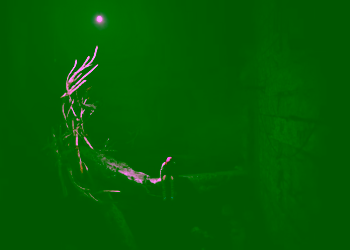 Screenshot 25
