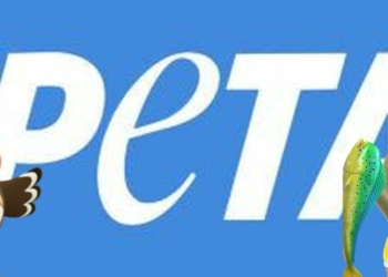 PETA blathers cj animal crossing header