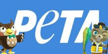 PETA blathers cj animal crossing header