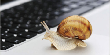 Slow Connection As A Snail