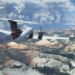 Microsoft Flight Simulator Launch Screen 5