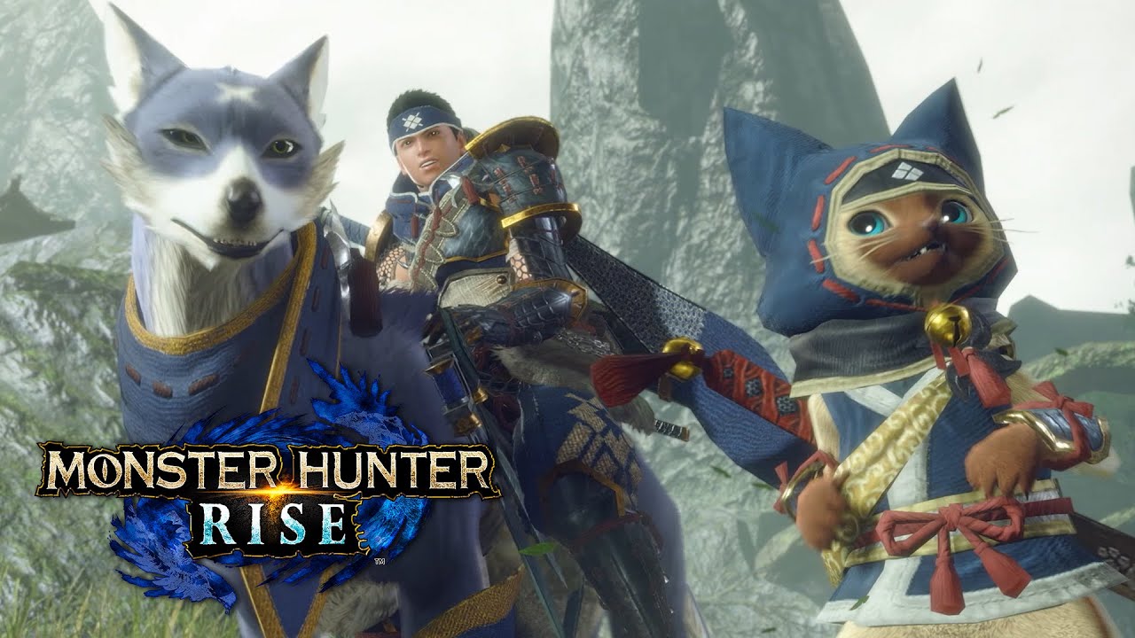 monster hunter switch rise