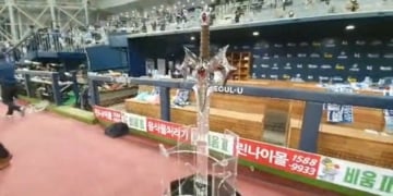 pzrjnfcdljk6xyqa0au8