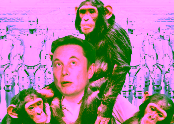 Elon Musk Monkey