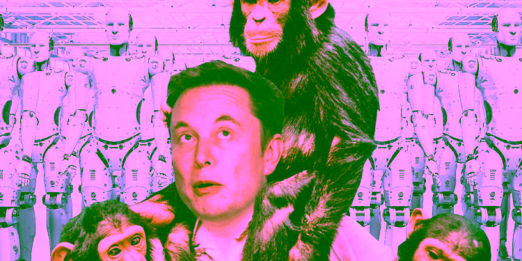 Elon Musk Lakukan Eksperimen Agar Monyet Dapat Bermain Game lewat Pikiran 1 Elon Musk Monkey