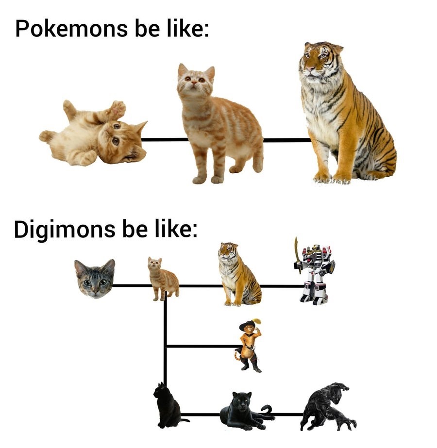 Pokemon Memes Pokemon Vs Digimon Evolution