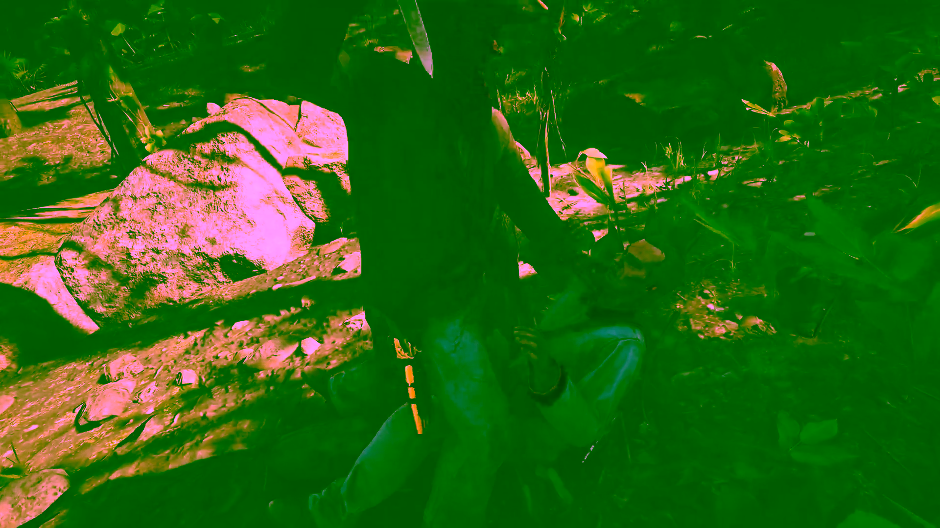 Modder Ubah Red Dead Redemption 2 Menjadi Game Bajak Laut 10