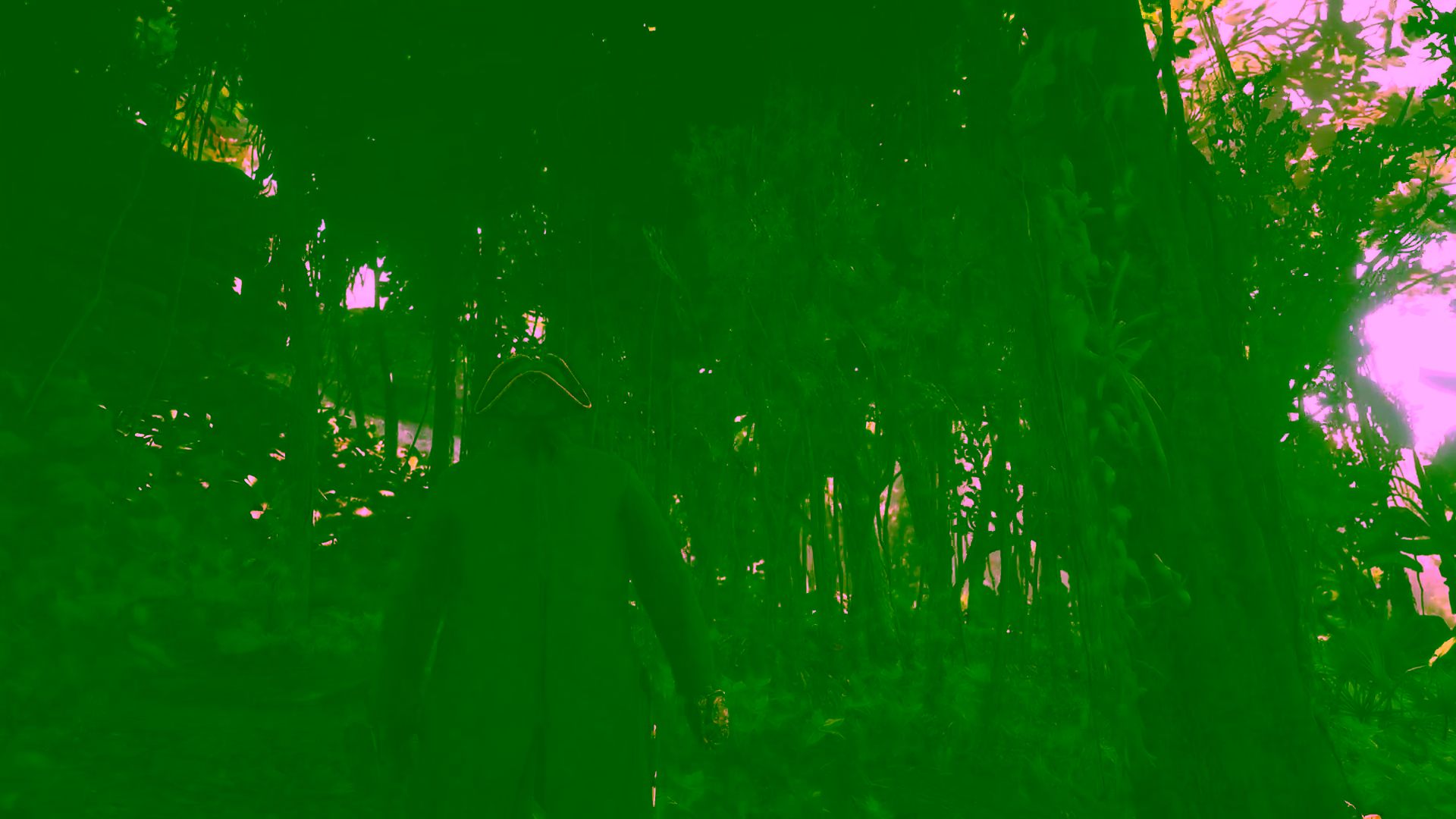 Red Dead Redemption 2 Mod Bajak Laut