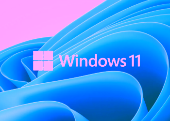 Windows 11