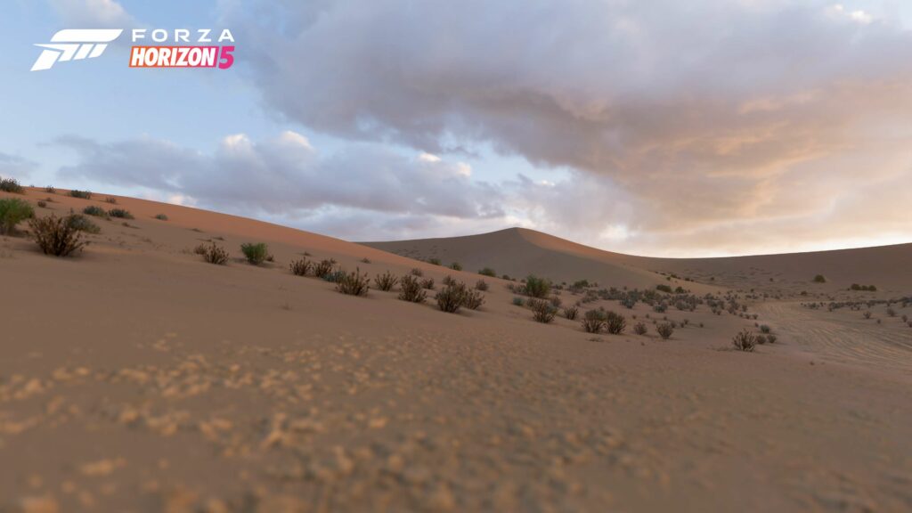 FH5 Biome Sand Desert 01 16x9 WM