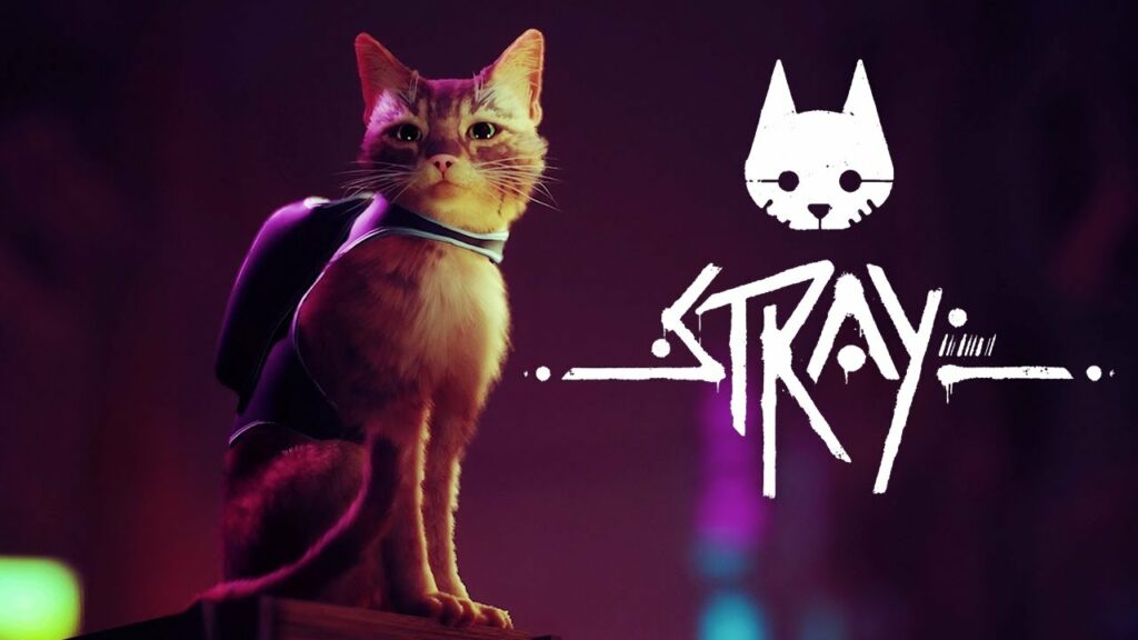game Stray Ps5