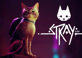 game Stray Ps5