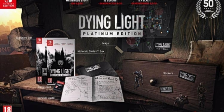 Dying Light Switch.original
