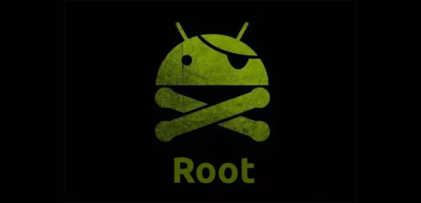 Root.jpeg