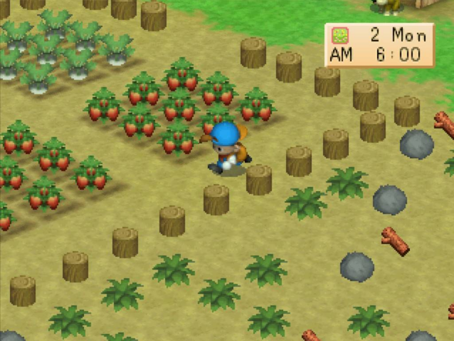 Harvest Moon Back To Nature Ps1 Pc