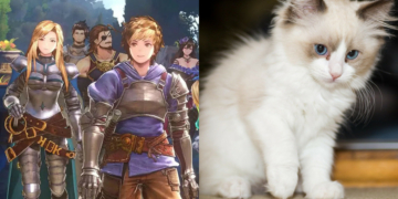 Cygames Galang Donasi Untuk Penelitian Kesehatan Kucing