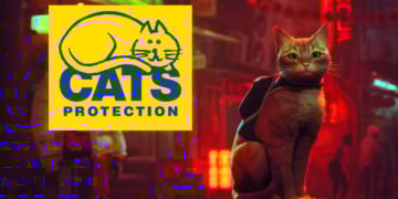 donasi dari developer Game Stray