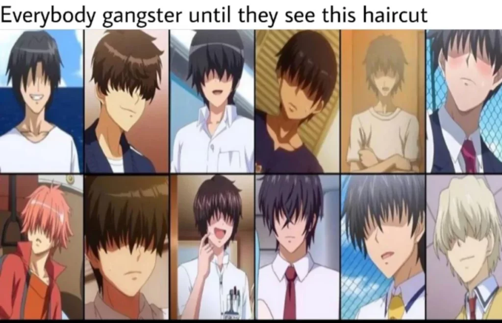 Legendary Protagonist Hair Meme