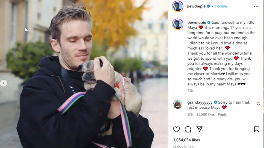 Meninggalnya Anjing Pewdiepie Diumumkan Lewat Instagram Pribadinya
