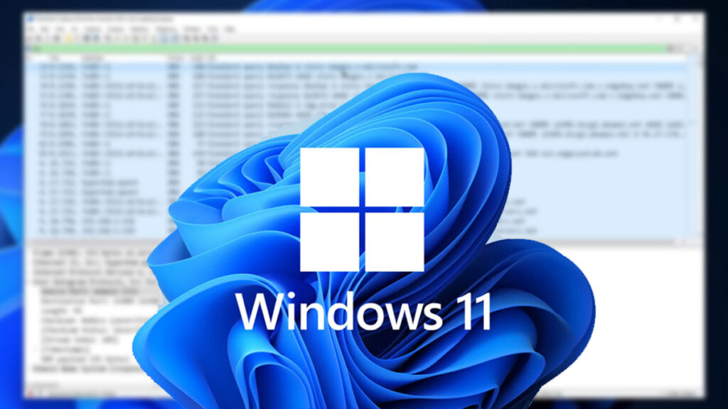 Windows 11 Bocorkan Data