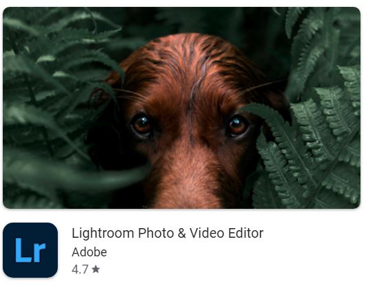 Adobe Lightroom Lite Untuk Hp