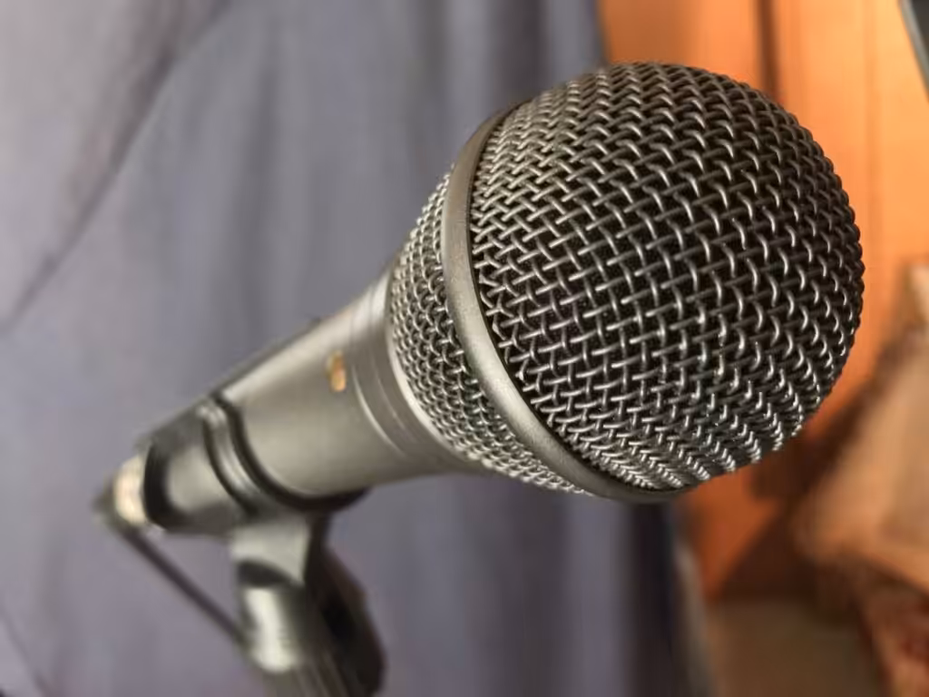 mic dynamic
